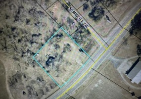1595 US Hwy 319N, Moultrie, Georgia 31768, ,Acreage,For Sale,US Hwy 319N,915779