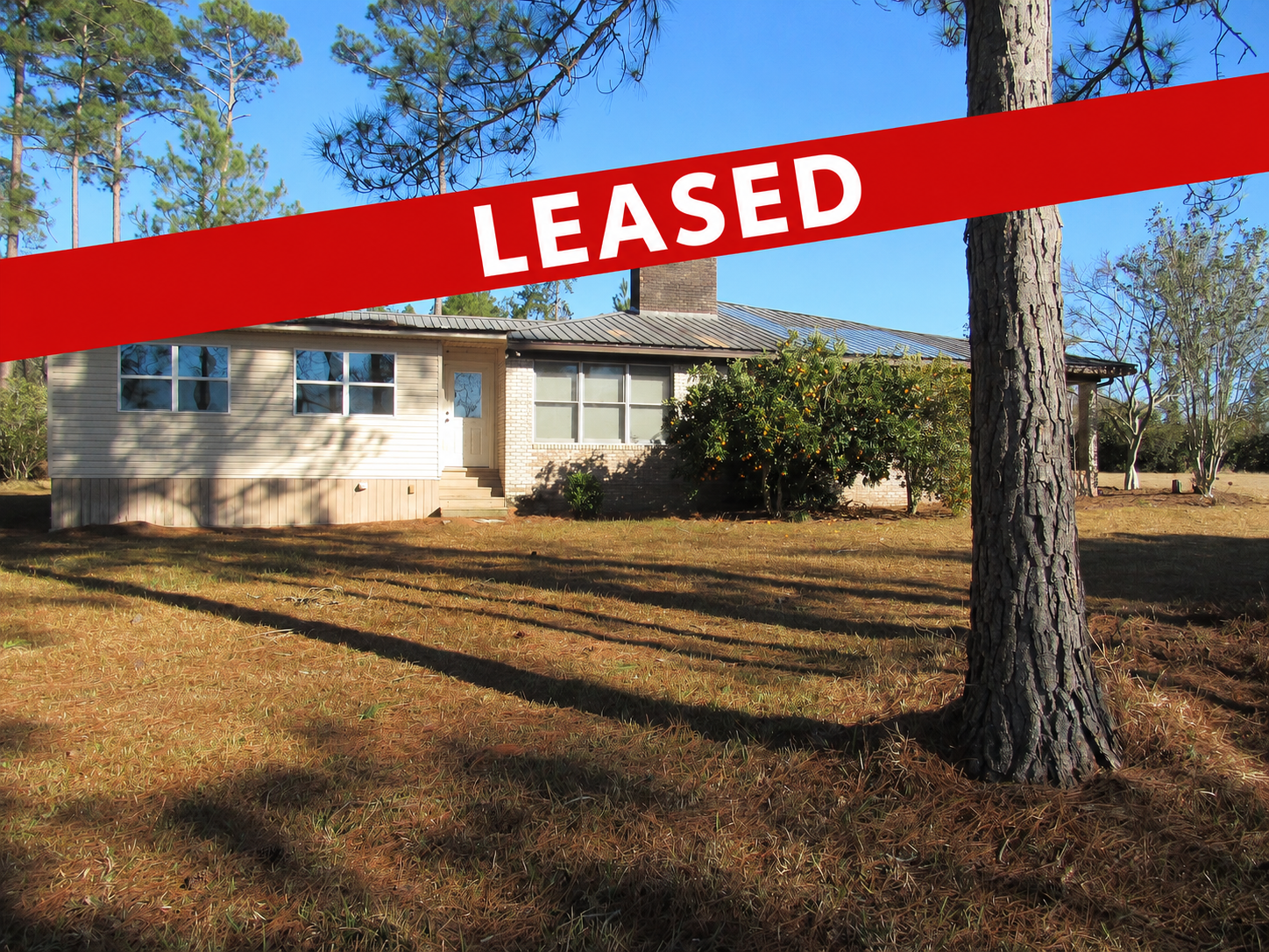 1134 GA-202, Meigs, Georgia 31765, 4 Bedrooms Bedrooms, 7 Rooms Rooms,2.5 BathroomsBathrooms,Single Family,For Rent,GA-202,915780 1134 GA-202, Meigs, Georgia 31765, 4 Bedrooms Bedrooms, 7 Rooms Rooms,2.5 BathroomsBathrooms,Single Family,For Rent,GA-202,915780