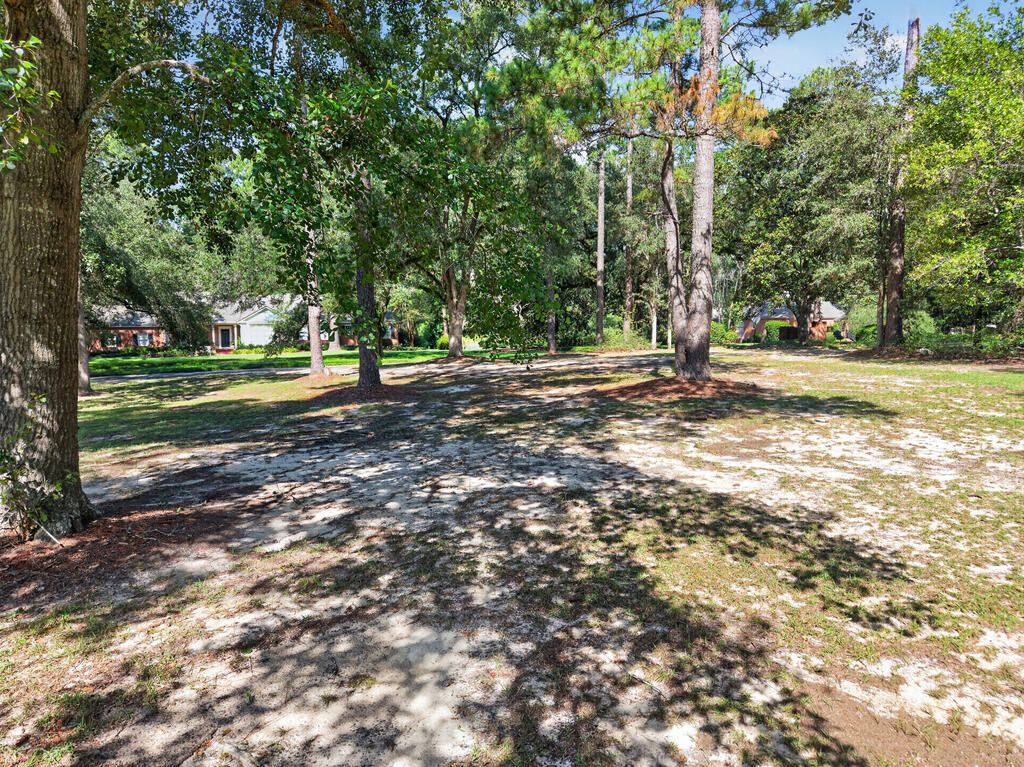 20 Oak Lane, Moultrie, Georgia 31768, 4 Bedrooms Bedrooms, ,4 BathroomsBathrooms,Single Family,For Sale,Oak Lane,915952