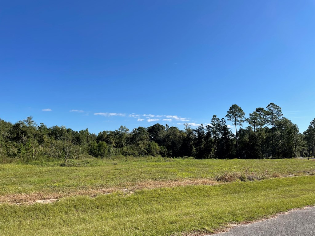 00 STAR CIRCLE, Norman Park, Georgia 31771, ,Residential lot,For Sale,STAR CIRCLE,911307