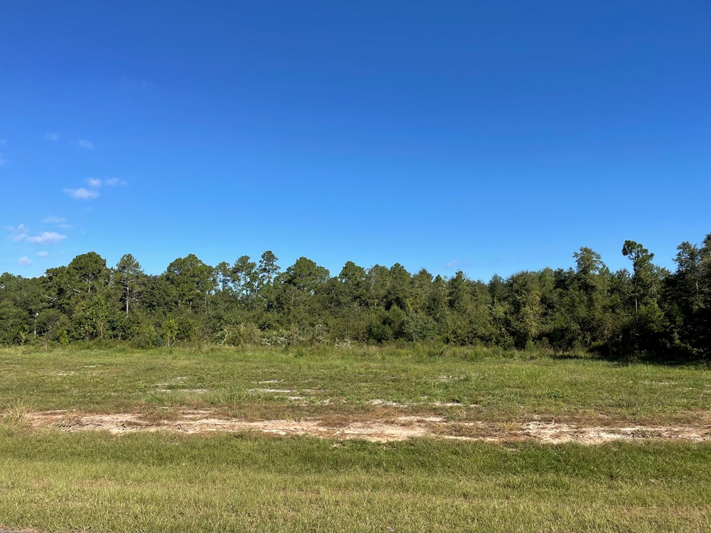 000 STAR CIRCLE, Norman Park, Georgia 31771, ,Residential lot,For Sale,STAR CIRCLE,911308