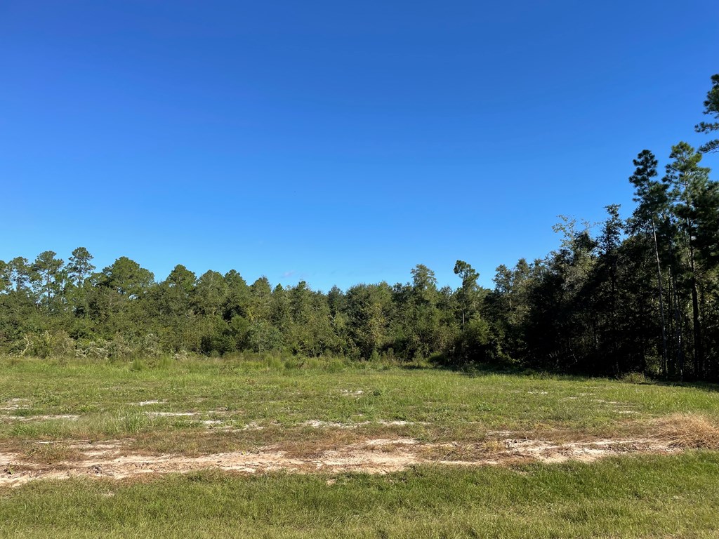 000 STAR CIRCLE, Norman Park, Georgia 31771, ,Residential lot,For Sale,STAR CIRCLE,911308