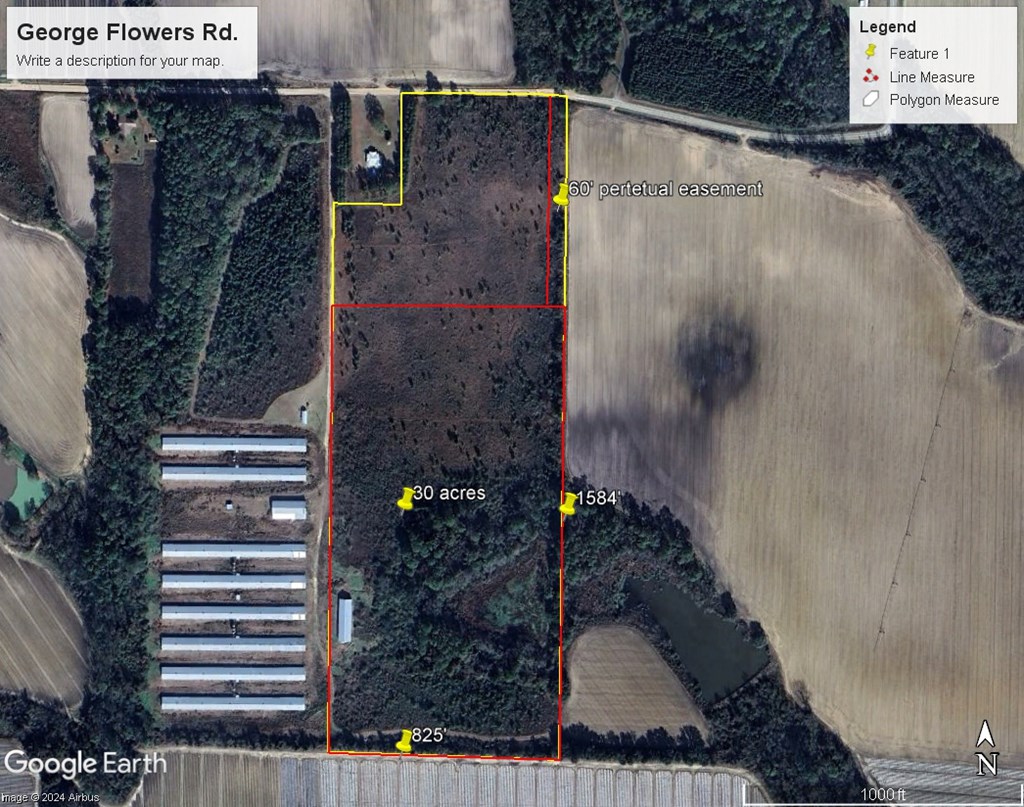 0 George Flowers, Norman Park, Georgia 31771, ,Farm (20 Or More Acres) - Land,For Sale,George Flowers,912810