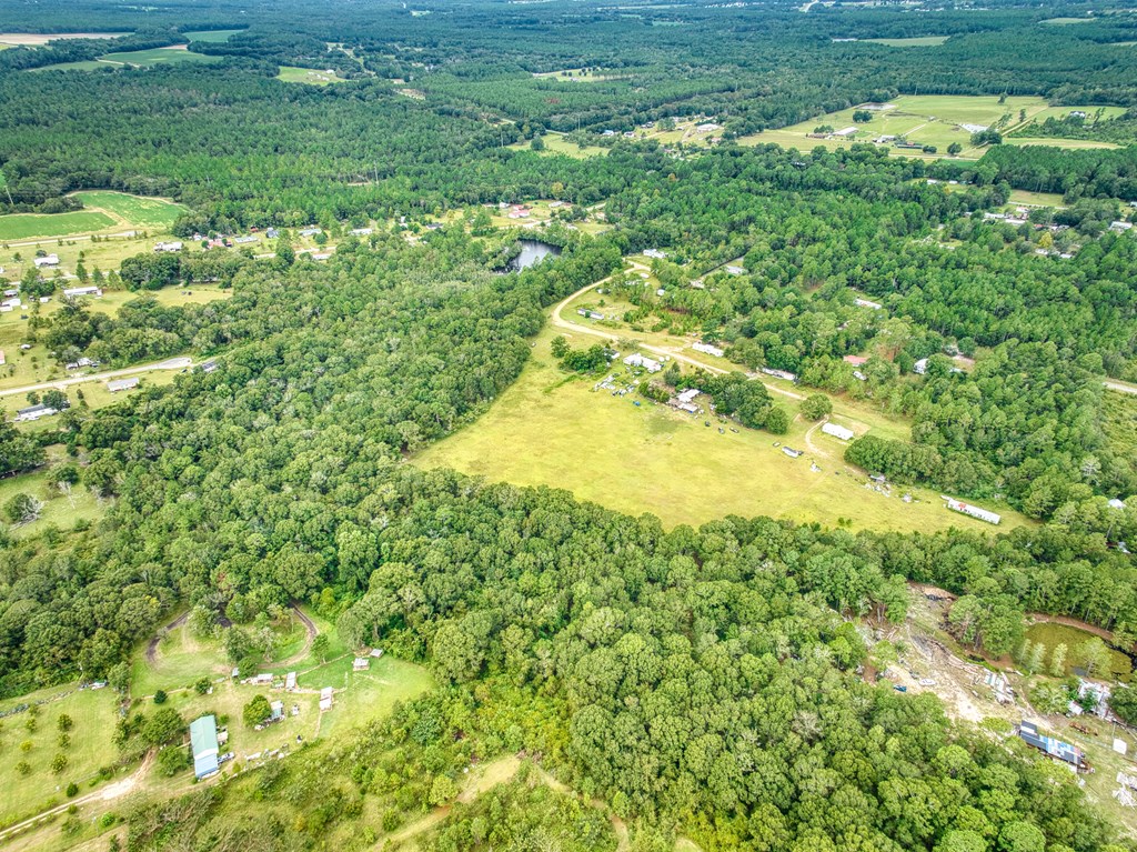 0 Mark Orton Lane, Moultrie, Georgia 31771, ,Acreage,For Sale,Mark Orton Lane,912925