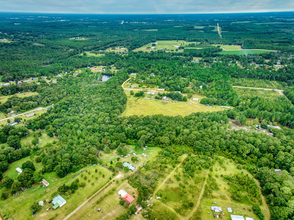 0 Mark Orton Lane, Moultrie, Georgia 31771, ,Acreage,For Sale,Mark Orton Lane,912925