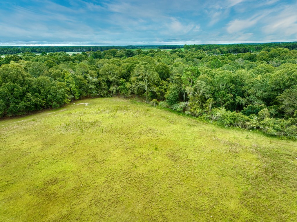 0 Mark Orton Lane, Moultrie, Georgia 31771, ,Acreage,For Sale,Mark Orton Lane,912925