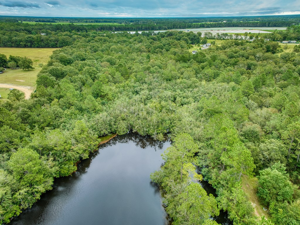 0 Mark Orton Lane, Moultrie, Georgia 31771, ,Acreage,For Sale,Mark Orton Lane,912925