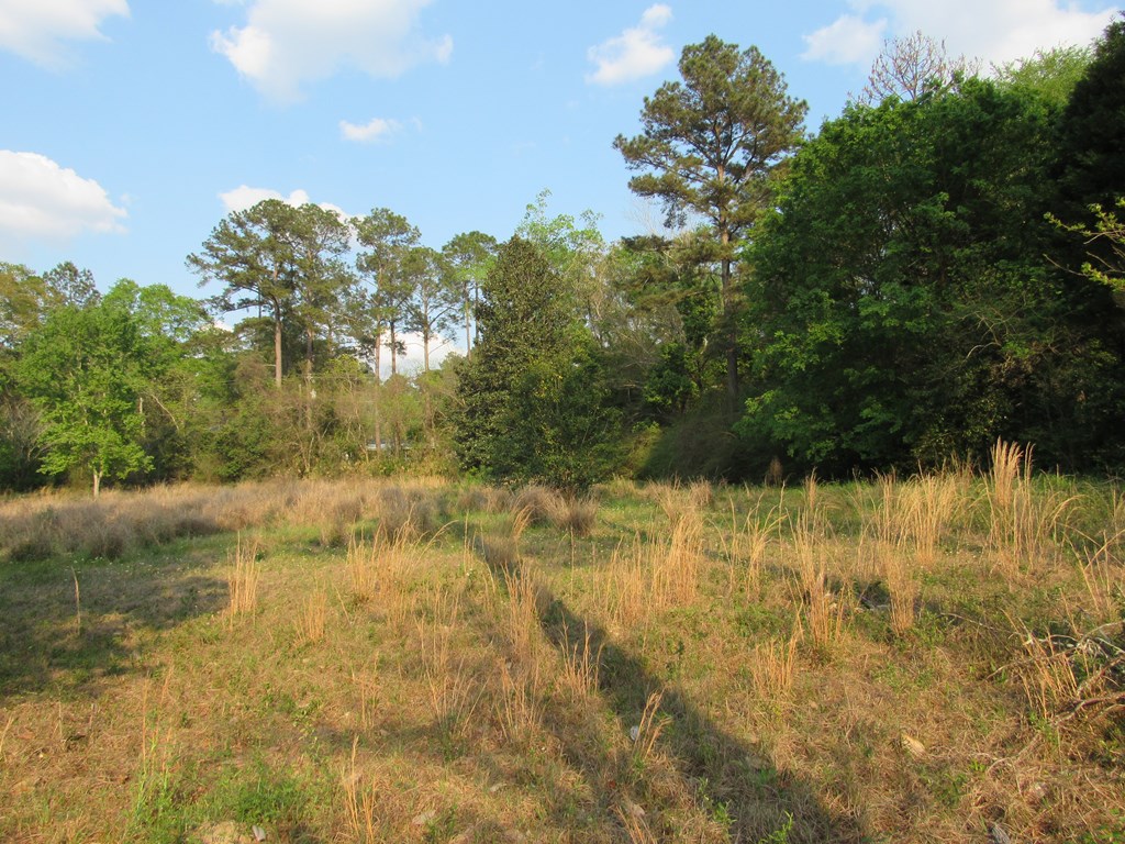 0 South Main Street, Moultrie, Georgia 31768, ,Commercial lot,For Sale,South Main Street,912976