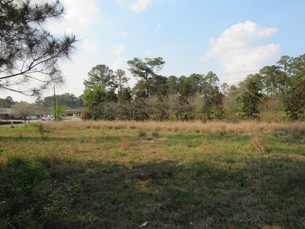 0 South Main Street, Moultrie, Georgia 31768, ,Commercial lot,For Sale,South Main Street,912976