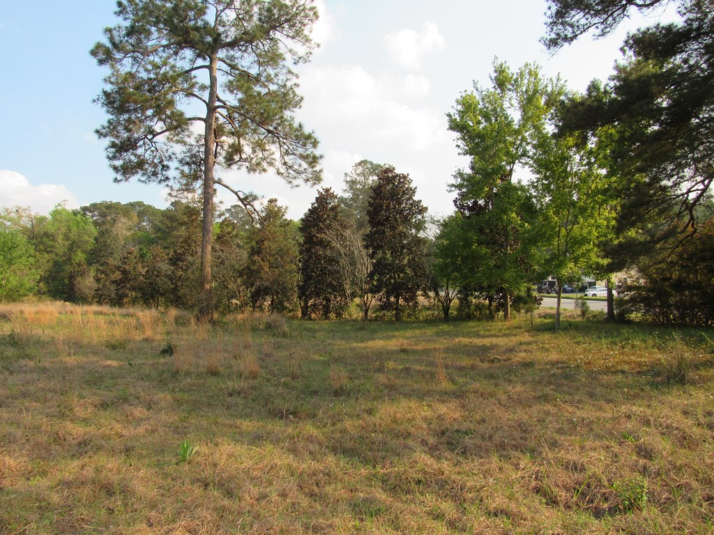 0 South Main Street, Moultrie, Georgia 31768, ,Commercial lot,For Sale,South Main Street,912976