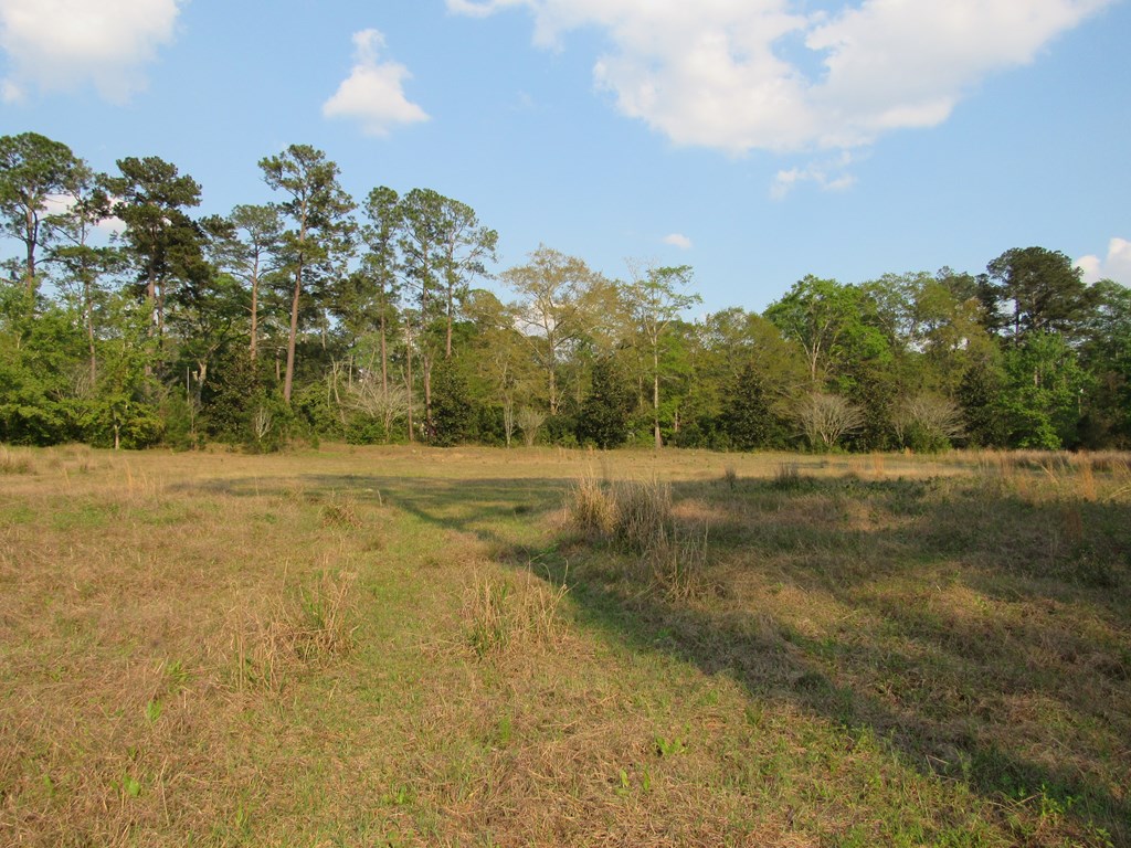 0 South Main Street, Moultrie, Georgia 31768, ,Commercial lot,For Sale,South Main Street,912976