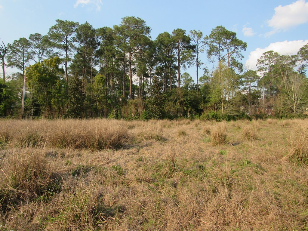 0 South Main Street, Moultrie, Georgia 31768, ,Commercial lot,For Sale,South Main Street,912976