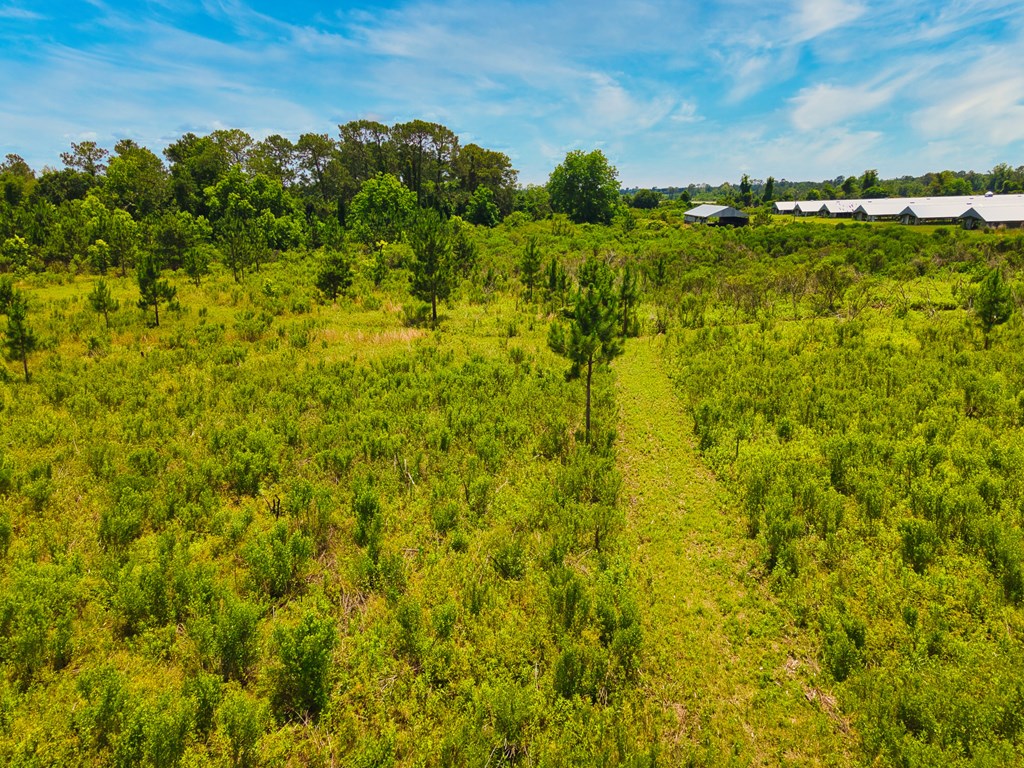 0 George Flowers, Norman Park, Georgia 31771, ,Farm (20 Or More Acres) - Land,For Sale,George Flowers,912987