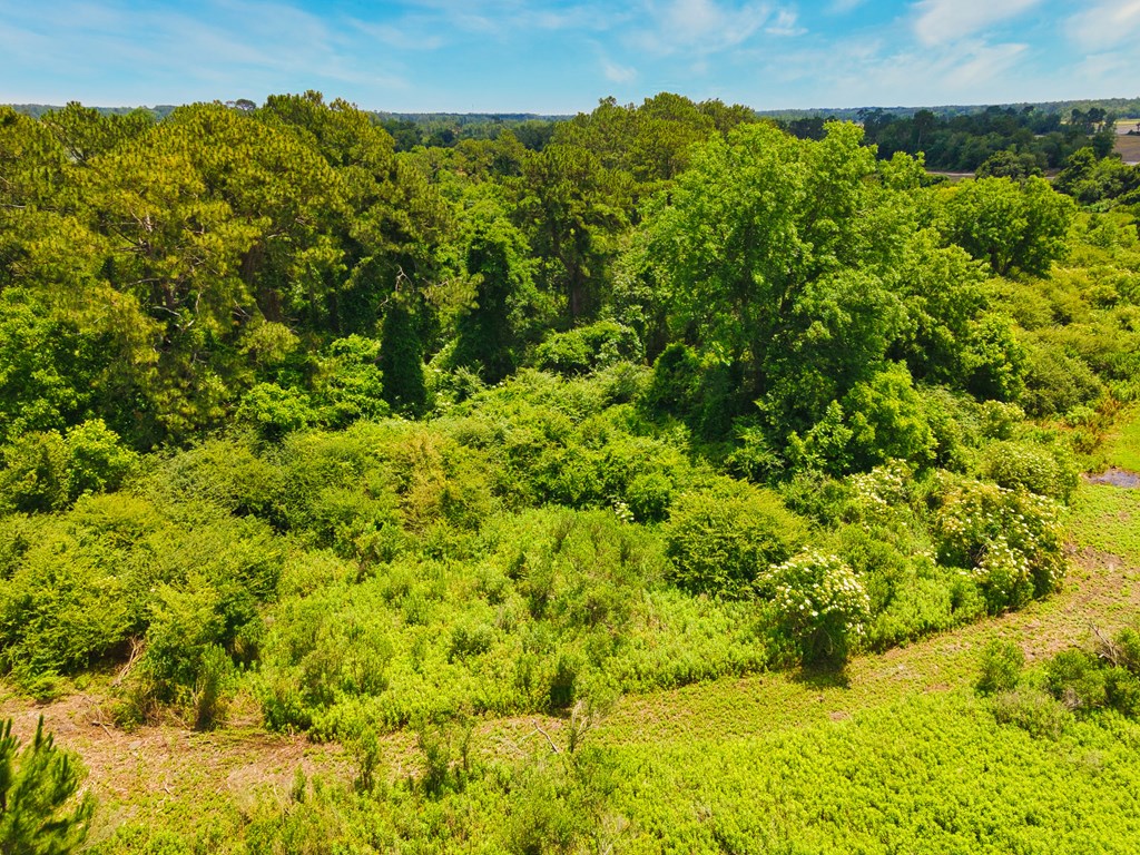 0 George Flowers, Norman Park, Georgia 31771, ,Farm (20 Or More Acres) - Land,For Sale,George Flowers,912987