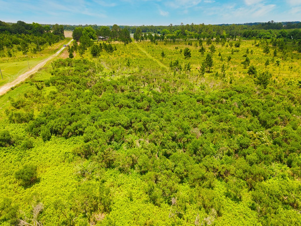 0 George Flowers, Norman Park, Georgia 31771, ,Farm (20 Or More Acres) - Land,For Sale,George Flowers,912987