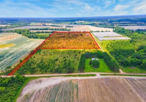 0 George Flowers, Norman Park, Georgia 31771, ,Farm (20 Or More Acres) - Land,For Sale,George Flowers,912987