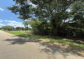 0 Sleepy Bear Road, Norman Park, Georgia 31771, ,Residential lot,For Sale,Sleepy Bear Road,913275