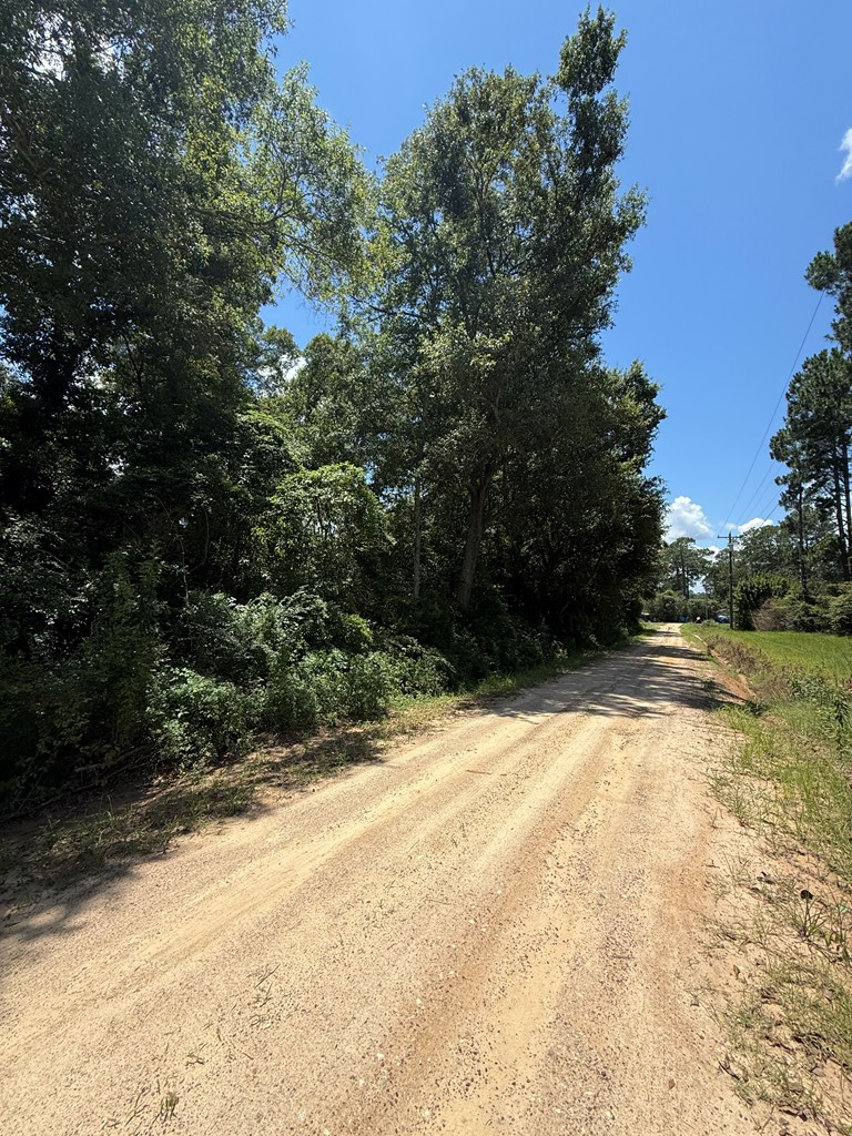 0 GA Hwy 82, Sylvester, Georgia 31791, ,Residential lot,For Sale,GA Hwy 82,913273