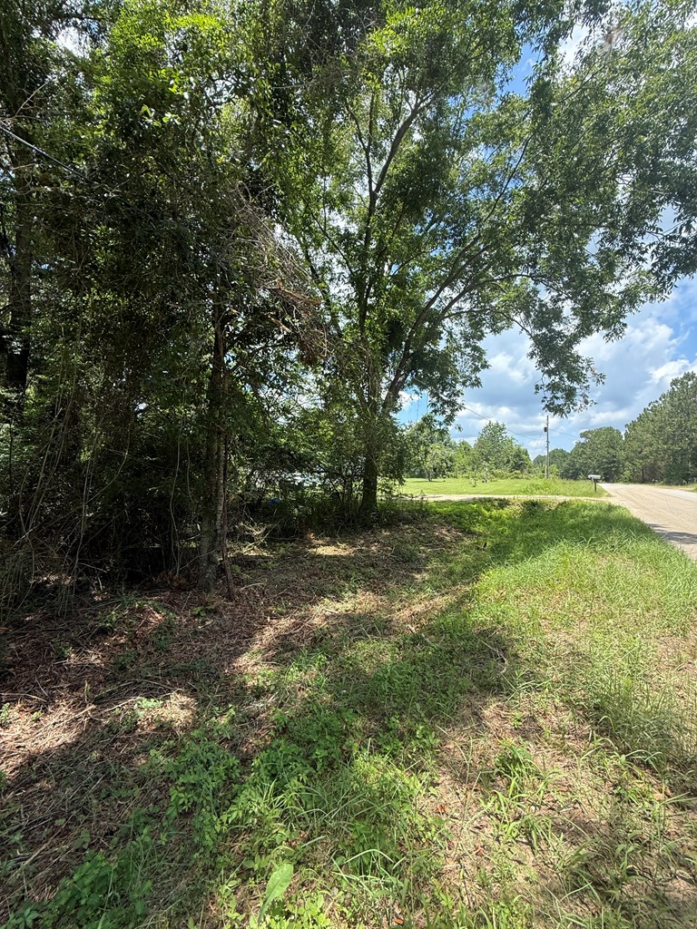 0 GA Hwy 82, Sylvester, Georgia 31791, ,Residential lot,For Sale,GA Hwy 82,913408