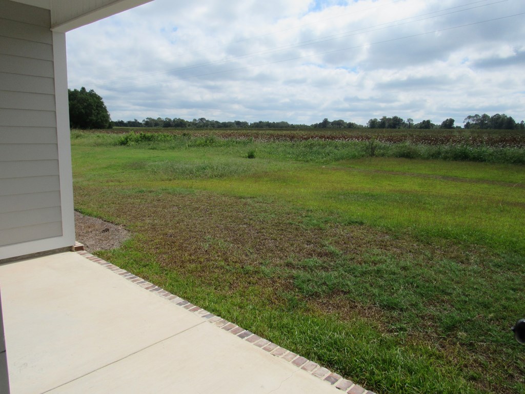 210 BAELL TRACE, Moultrie, Georgia 31788, 3 Bedrooms Bedrooms, ,2 BathroomsBathrooms,Single Family,For Sale,BAELL TRACE,913357