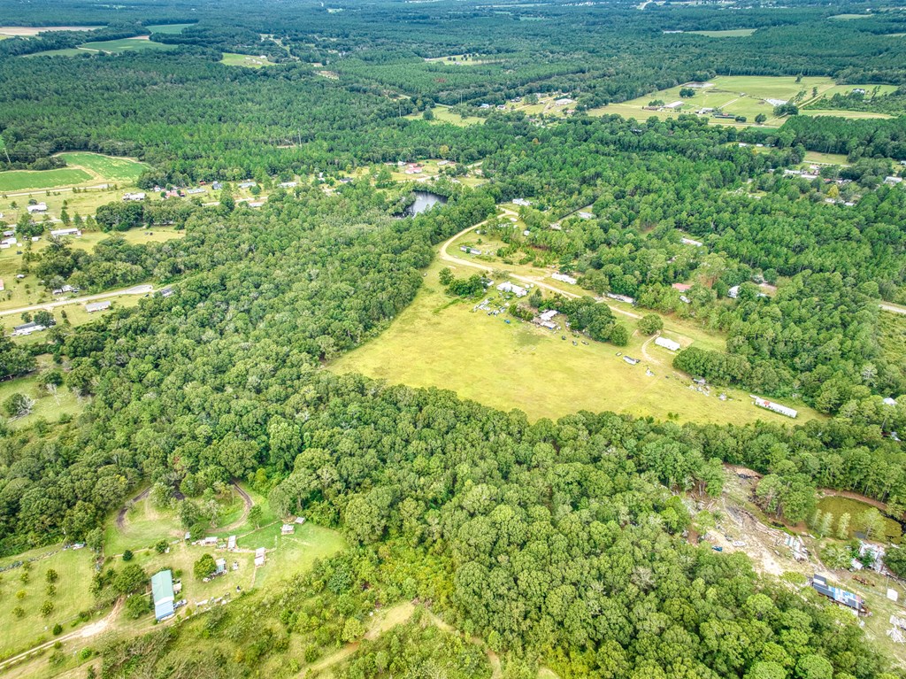 0 Mark Orton Lane, Moultrie, Georgia 31771, ,Acreage,For Sale,Mark Orton Lane,913452