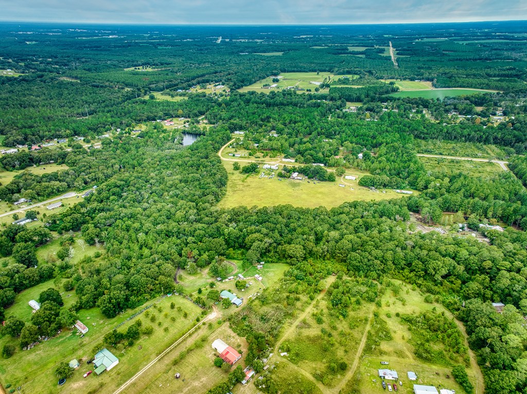 0 Mark Orton Lane, Moultrie, Georgia 31771, ,Acreage,For Sale,Mark Orton Lane,913452