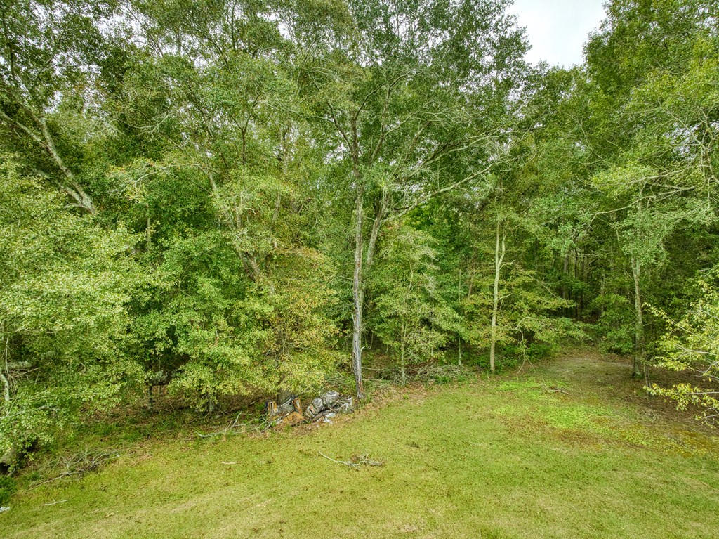 0 Mark Orton Lane, Moultrie, Georgia 31771, ,Acreage,For Sale,Mark Orton Lane,913452