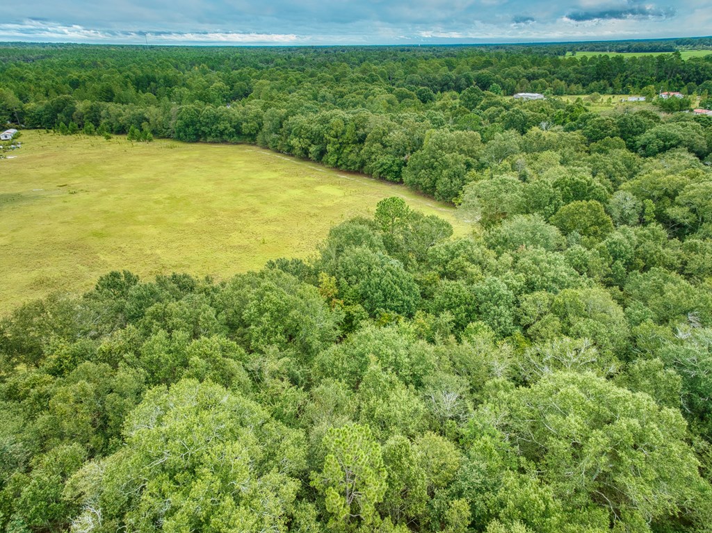 0 Mark Orton Lane, Moultrie, Georgia 31771, ,Acreage,For Sale,Mark Orton Lane,913452