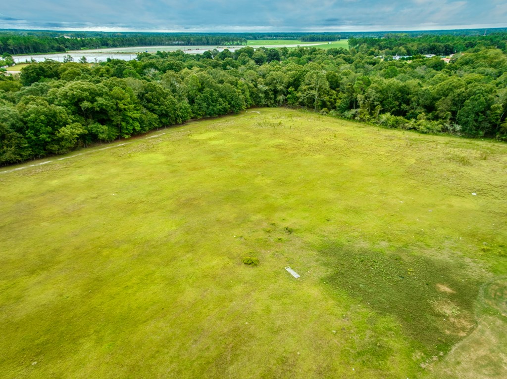0 Mark Orton Lane, Moultrie, Georgia 31771, ,Acreage,For Sale,Mark Orton Lane,913452