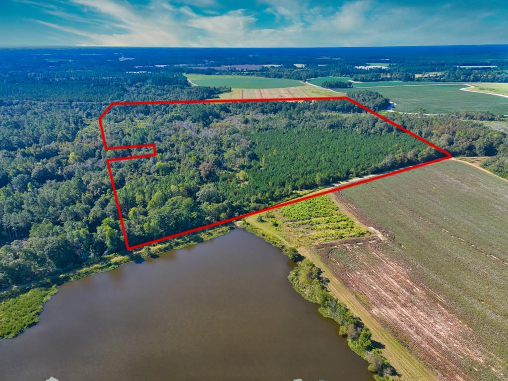 0 Georgia Highway 33 South, Moultrie, Georgia 31788, ,Acreage,For Sale,Georgia Highway 33 South,913496