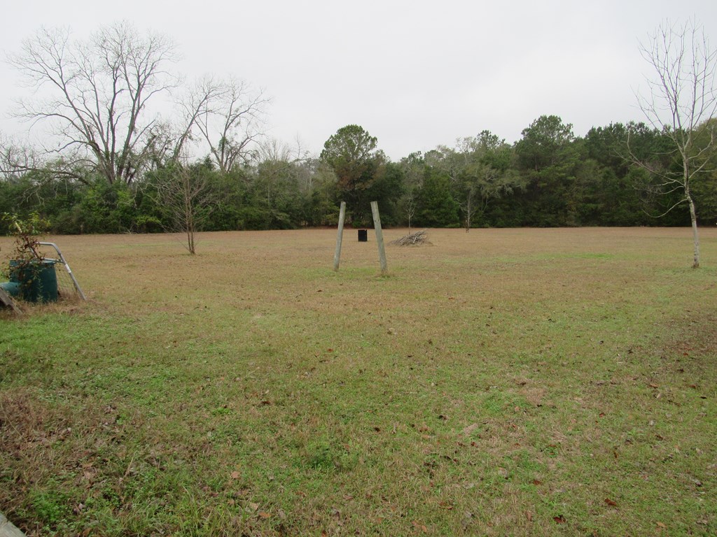 581 Harris ST, Pavo, Georgia 31778, 3 Bedrooms Bedrooms, ,2 BathroomsBathrooms,Single Family,For Sale,Harris ST,913560